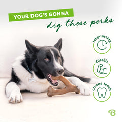 Benebone Wishbone paw-friendly-grip aids easy pickup and chewing.