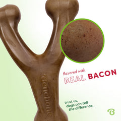 Benebone Wishbone close-up highlights real bacon flavor that dogs notice