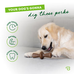 Benebone Zaggler durable nylon construction withstands tough chewers.