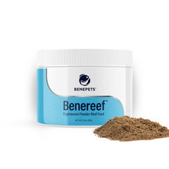 Benepets BeneReef powder tub closeup showing premium reef nutrition for vibrant corals