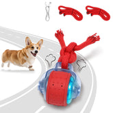 BENTOPAL dog ball closeup showing durable surface for energetic play
