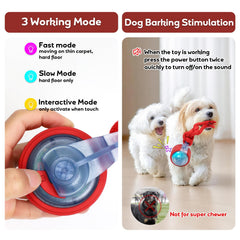 BENTOPAL dog ball in slow mode offering relaxed play for puppies