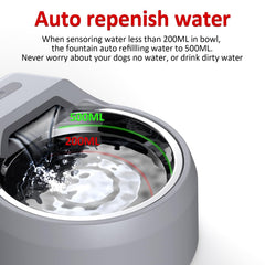 Bentopal dog fountain with USB-powered setup for flexible placement like balcony or laundry area.