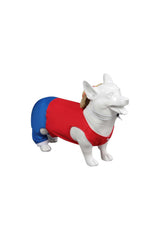 Beowyro dog-costume-hood-ears-detail lifestyle shot showcases cute finish and comfortable wear.