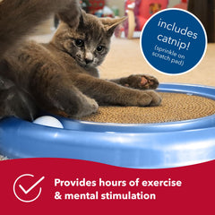 Bergan Coastal Pet Turbo Scratcher catnip-included sparks curious play sessions.