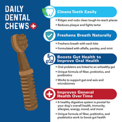 Bernie's Charming Chompers 36oz jar close-up highlights value and long-lasting chew habit for small dogs.