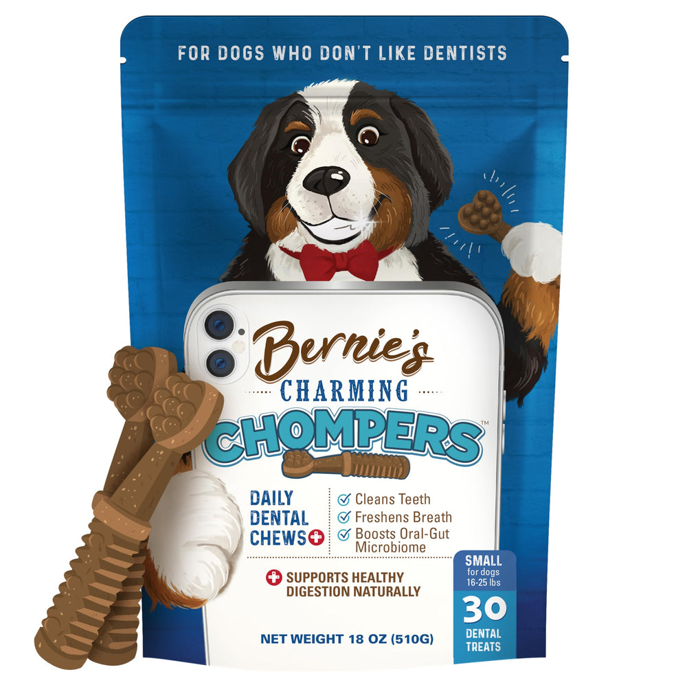 Bernie's Charming Chompers packaging highlights a 30-count box for daily dental care.