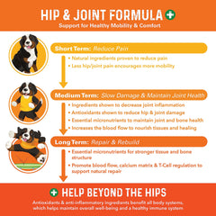 Bernie's Healthy HIPS bottle close-up highlights natural joint health ingredients.