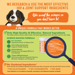 Bernie's Healthy HIPS ingredient panel showcases a broad joint health formula.