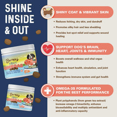 Bernie's OMG Omegas Chews served in dish for easy daily use