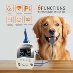 BERRY AM1000A-Vet tongue-probe ready for quick pet assessment.
