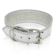 Berry Pet Rhinestones Collar on a large dog during outdoor walk