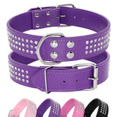 Berry Pet rhinestones dog collar front view purple showing sparkling crystals for stylish walks