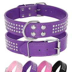Berry Pet rhinestones dog collar front view purple showing sparkling crystals for stylish walks