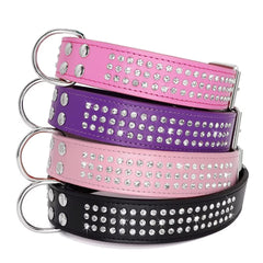 Berry Pet Rhinestones dog collar on a large dog during a sunny walk.