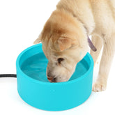 Berverra heated dog bowl outdoors keeps water from freezing for pets.