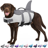 Bess Bridal dog life jacket shark-fin-style for buoyant swimming protection.