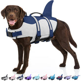 Bess Bridal shark-fin life jacket on dog adds visibility during pool play and water joy