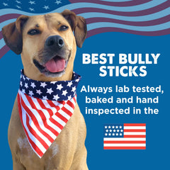 Best Bully Sticks bacon and cheese filling enhances chew-time savory appeal for dogs.