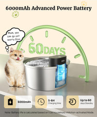 BEST JAJA fountain shows three hydration modes for pets' preferences and routines.