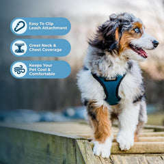 Best Pet Supplies Voyager all-weather air mesh close-up highlights breathable comfort.