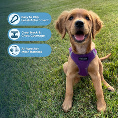Best Pet Supplies Voyager step-in air harness no-pull design reduces tugging on walks.