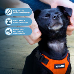 Orange/black trim detail on Voyager Step-in Harness combines visibility and durability