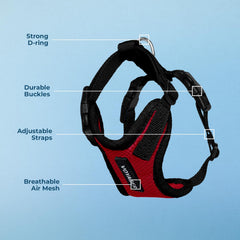 Best Pet Supplies Voyager Step-in Harness XS size on small pet demonstrates precise fit guidance.