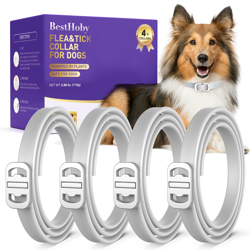 BestHoby four-pack dog collars for easy multi-dog care and preparedness.