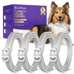 BestHoby four-pack dog collars for easy multi-dog care and preparedness.