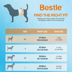 Bestle Male Dog Wrap wetness indicator close-up for easy replacement signals.