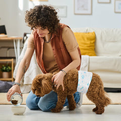 Bestle male dog wrap wetness indicator signaling when to change