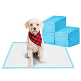 BESTLE Pet Training Pad with 5-layer absorbent design keeps floors clean during puppy training.