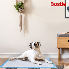 BESTLE leakproof waterproof layer close-up protects floors from spills