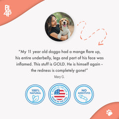 BestLife4Pets dog-itch-relief-ears closeup depicts reduced itching and calmer ears.