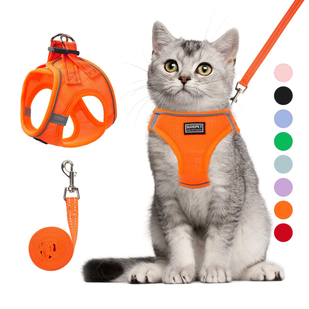 Betmaypet arnes gato naranja muestra ajuste cómodo para paseos seguros