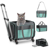 BETOPET cat carrier under-seat view for cabin-ready travel and calm pet