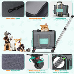 BETOPET durable frame folds flat for compact storage after travel