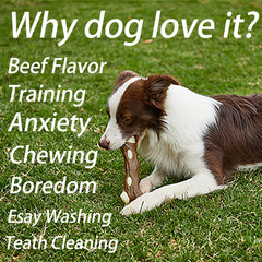 BETTEPROD dog bones beef-flavor aroma captures appetizing scent during chews