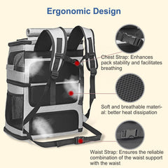 Beviliu expandable cat backpack highlighting ergonomic shoulder and waist straps for reduced fatigue.