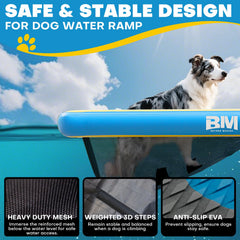 Beyond Marina floating dog ladder for pontoon boats improves onboard confidence.