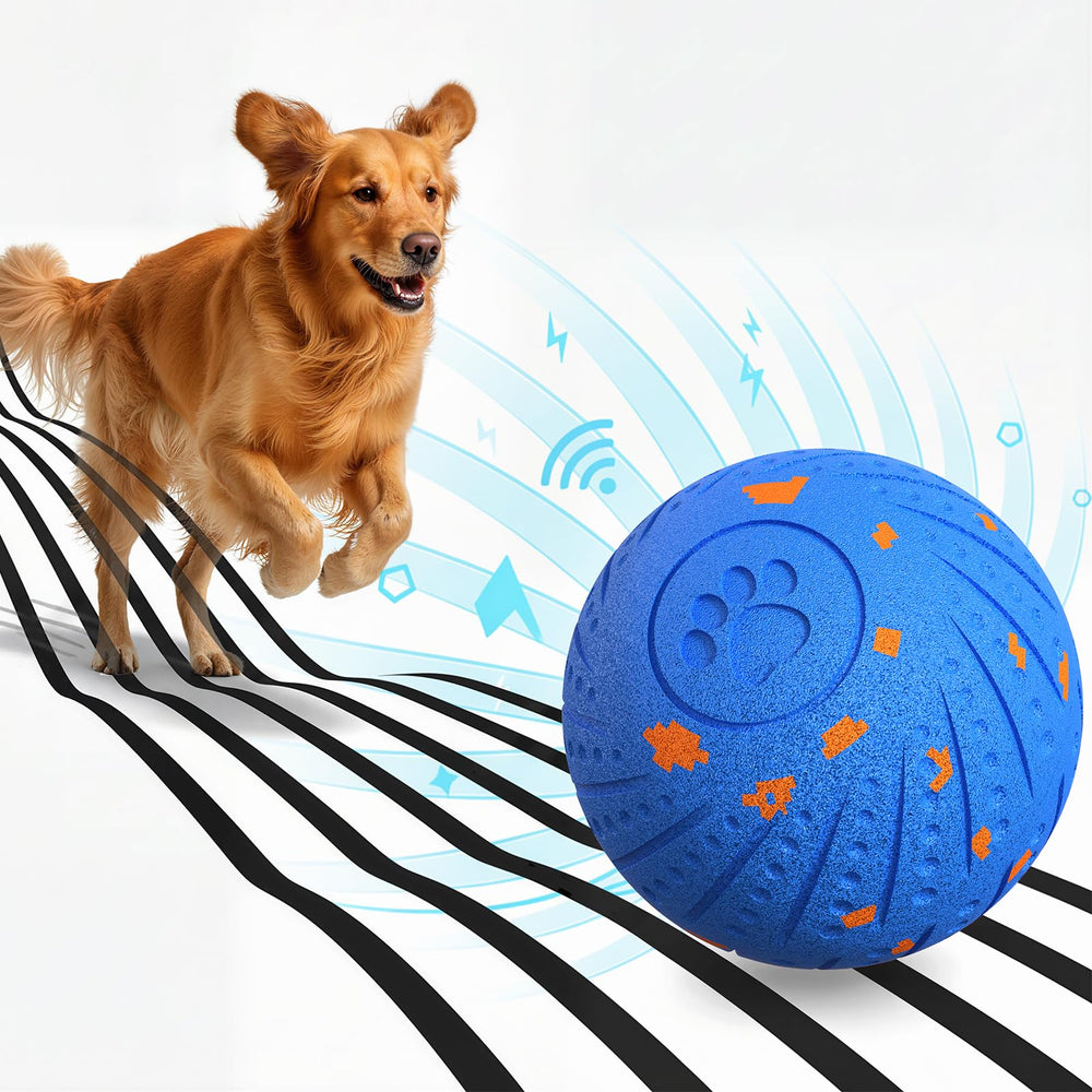 BFFWOW dog ball with automatic bounce demonstrates three smart modes for varied play and energy.