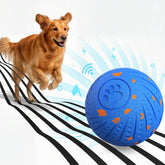 BFFWOW dog ball with automatic bounce demonstrates three smart modes for varied play and energy.