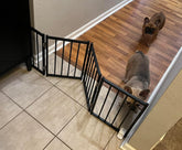BFNN free-standing gate assembly-free view demonstrates quick, tool-free setup for pet zones
