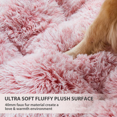 BFPETHOME dog bed anti-slip bottom keeps it from sliding during play.