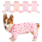 Bienbee dog pajamas butterfly pattern set for cute bedtime wear and photos