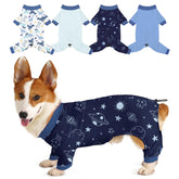 Bienbee dog pajamas pack-patterns shown for daily wear and cute photo moments