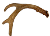 Big Dog Antler Chews show a whole 9-13 inch deer antler for durable indoor chewing.