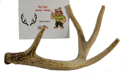 Big Dog Antler Chews indoor-safe, no greasy mess