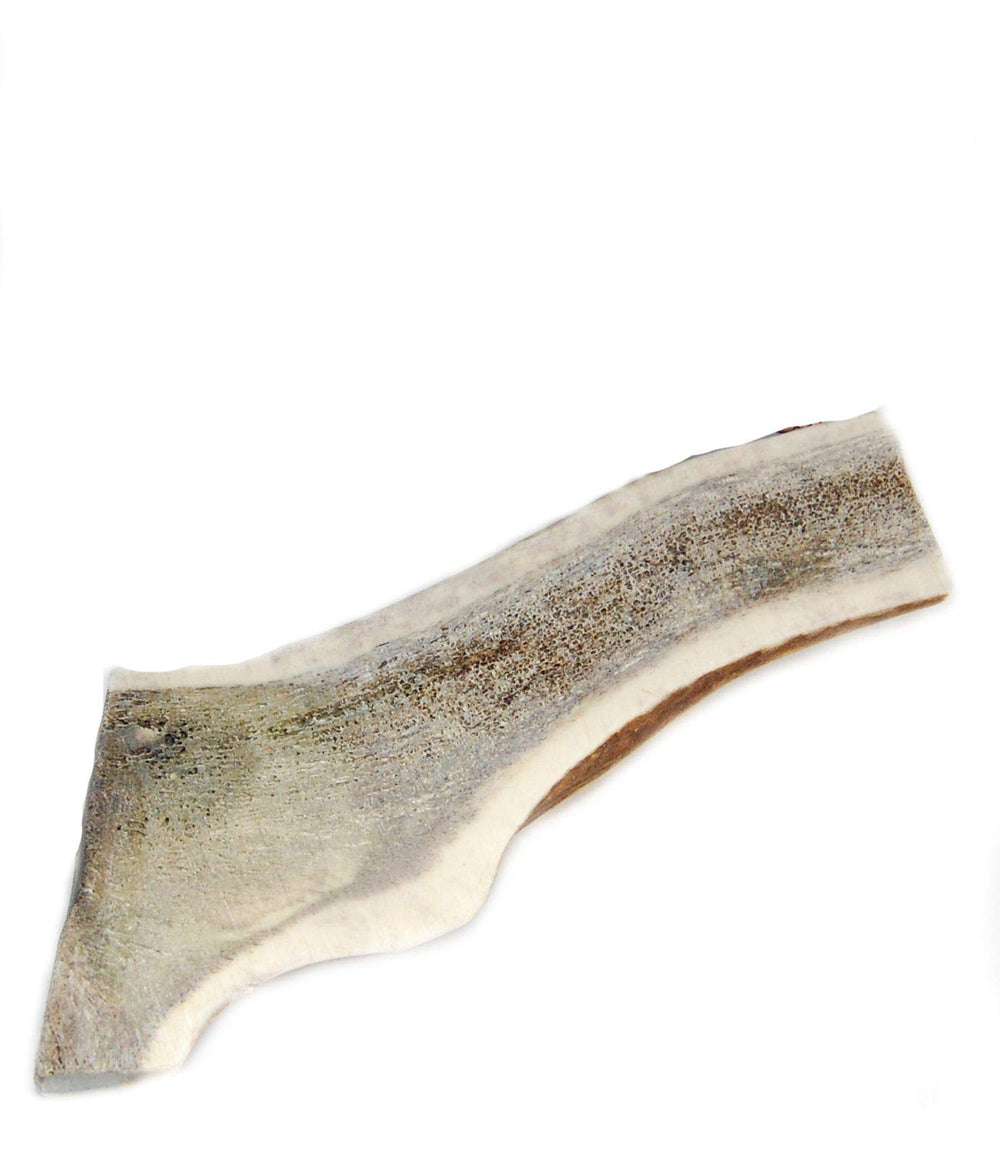 Big Dog Antler Chews split-elk-antler xlarge 6-8 inch piece showing marrow for strong chewers